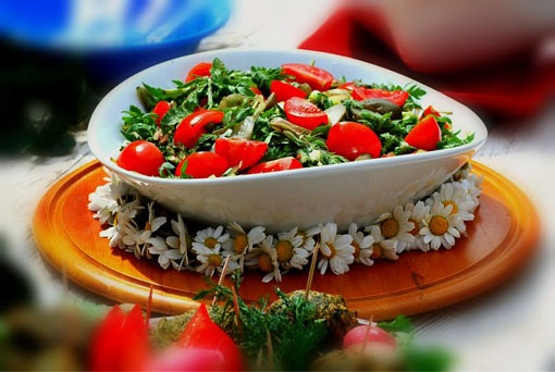 Alaçatı Ot Festivaline Lezzet Turları Alaçatı Ot Festivaline Lezzet Turları