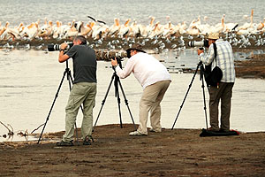 Gazella Fotoğraf Turları Başlıyor