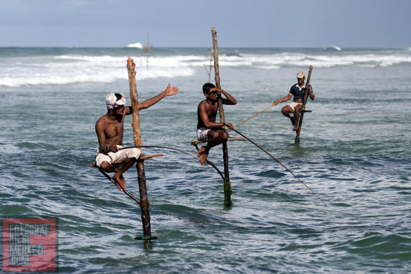 Sri Lanka’da Fotosafari