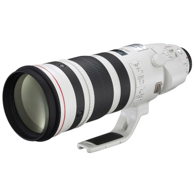 Canon EF 200-400 f/4L IS USM 1.4x