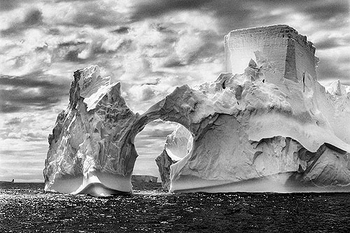 Sebastiao Salgado’dan Genesis