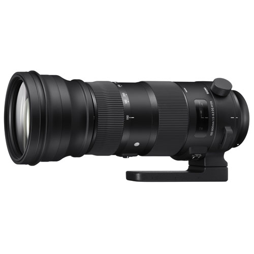 Sigma 150-600mm f/5-6.3 DG OS HSM Sports