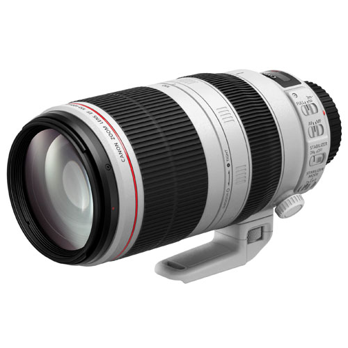 Canon EF 100-400mm f/4.5-5.6L IS II