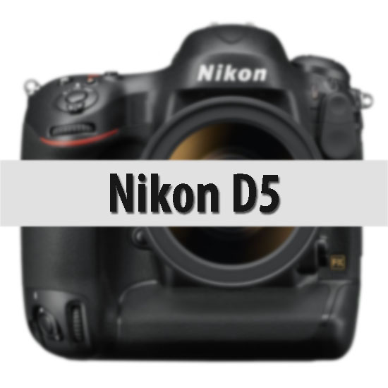 Nikon D5 Çıkıyor!
