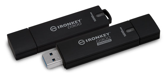 Üst Düzey Güvenlikli USB Bellekler