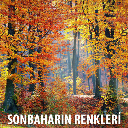 “Sonbaharın Renkleri” fotoğraf yarışması sonuçlandı