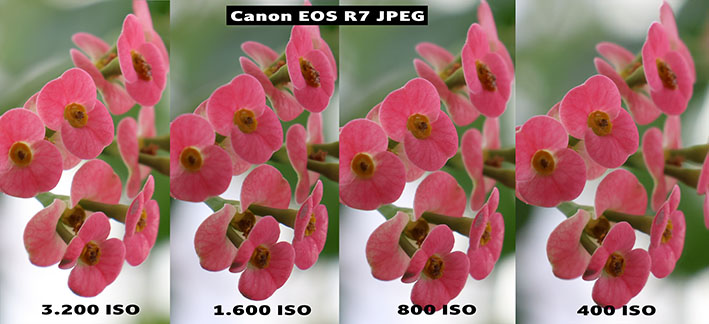 004 JPEG R7 iso test - İnceleme: Canon EOS R7 ve EOS R10