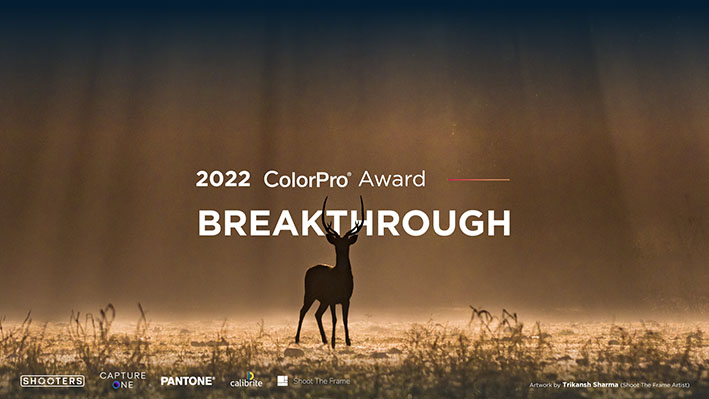 1660561898 ColorPro Award 2022 - Global Fotoğraf Yarışması ColorPro Award 2022 Başlıyor