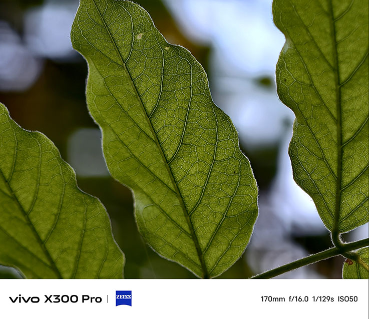 İnceleme: vivo X300 Pro IMG 20251203 105737 - İnceleme: vivo X300 Pro