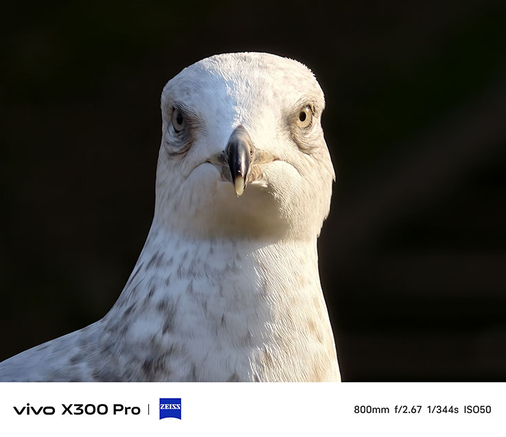 İnceleme: vivo X300 Pro IMG 20251203 124415 - İnceleme: vivo X300 Pro